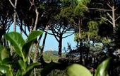 Туры в отель ARLI Hotel Hideaway Punta Ala