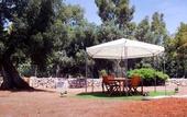 Туры в отель La Maison One B&B