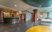 Туры в отель Hotel Amico