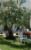 Туры в отель Grand Hotel Biffy
