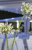 Туры в отель Grand Hotel Biffy