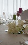 Туры в отель Grand Hotel Biffy