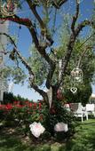 Туры в отель Grand Hotel Biffy