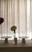 Туры в отель Grand Hotel Biffy
