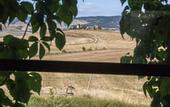 Туры в отель Locanda In Tuscany
