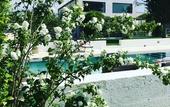 Туры в отель Masseria Prosperi