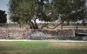 Туры в отель Masseria Prosperi