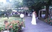 Туры в отель Hotel Piroga Padova