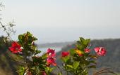 Туры в отель B&B Casa Margherita