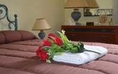 Туры в отель La Rosa di Firenze