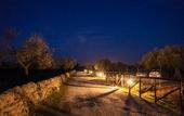 Туры в отель Zahir Country House