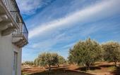 Туры в отель Zahir Country House
