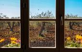 Туры в отель Zahir Country House
