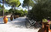 Туры в отель Masseria Palombara Relais & SPA - Adults only