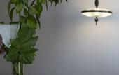 Туры в отель Tale Restaurant&Suite