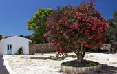 Туры в отель Antica Masseria del Fano