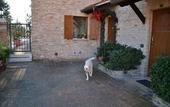 Туры в отель Colleverde Country House Beauty&Wellness