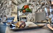 Туры в отель Scilla Maris Charming Suites-Restaurant