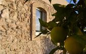 Туры в отель Scilla Maris Charming Suites-Restaurant