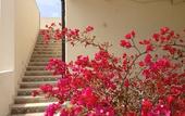 Туры в отель Scilla Maris Charming Suites-Restaurant