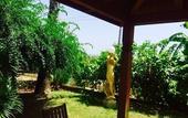Туры в отель Hotel Ristorante L'Orizzonte