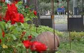 Туры в отель Villa Sant Andrea