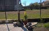 Туры в отель B&B PompeiLog