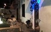 Туры в отель B&B PompeiLog