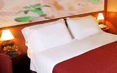Туры в отель Giotto Hotel