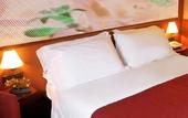 Туры в отель Giotto Hotel