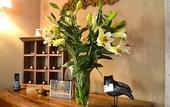 Туры в отель Relais Ciavatta Country Hotel
