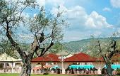 Туры в отель Hotel degli Ulivi