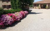 Туры в отель Villa Curina Resort