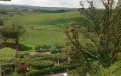 Туры в отель Villa Curina Resort