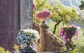 Туры в отель Monaci delle Terre Nere