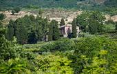 Туры в отель Monaci delle Terre Nere