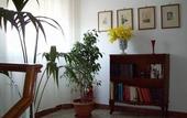 Туры в отель La Coccinella Guest House