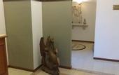 Туры в отель Hotel Joy