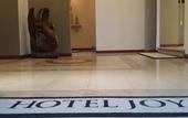 Туры в отель Hotel Joy