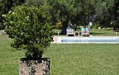 Туры в отель Masseria Corda di Lana