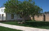 Туры в отель Masseria Corda di Lana