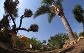 Туры в отель Villa Concordia