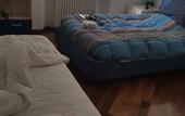 Туры в отель casa di alfredo