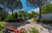 Туры в отель Camping Village Il Poggetto.