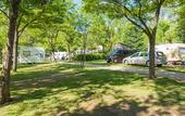Туры в отель Camping Village Il Poggetto.