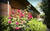 Туры в отель Camping Village Il Poggetto.
