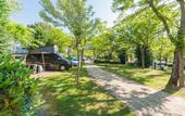 Туры в отель Camping Village Il Poggetto.