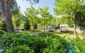 Туры в отель Camping Village Il Poggetto.