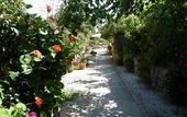 Туры в отель Hotel Villaggio Tabu