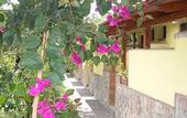 Туры в отель Hotel Villaggio Tabu